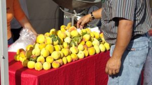 Frutas de Boyacá duraznos
