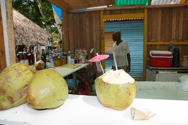 Cocos de San Andrés Colombia